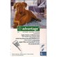 Spot-on pipetten op de huid van de hond