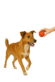 Beweging