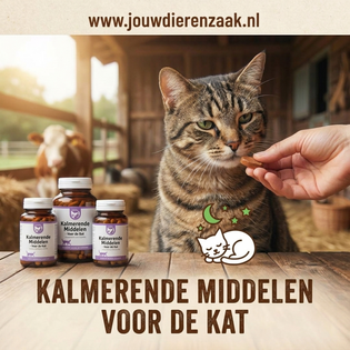 kalmerende middelen voor de kat