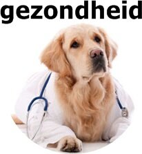 Apotheek voor de hond