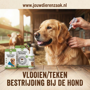 Vlooien/Teken Bestrijding bij de hond