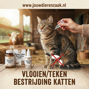 Vlooien/Teken Bestrijding katten