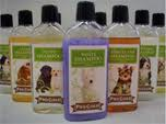 Shampoo voor katten