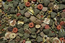 Voeding knaagdier konijn en cavia