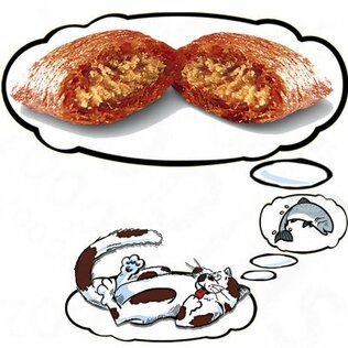 Snacks  en snoepjes voor de kat