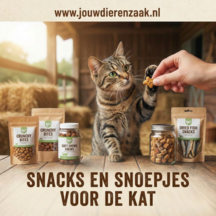 Snacks  en snoepjes voor de kat