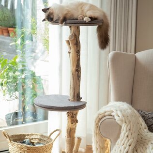 Krabpalen en Krabmeubels voor katten