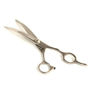 Scharen en Tangen voor de hond