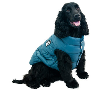 Honden Jasjes en truitjes