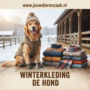 Honden Jasjes en truitjes