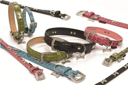 Halsbanden voor de hond, lijnen & hondentuigen