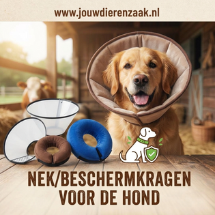 Nek/Beschermkragen voor de hond