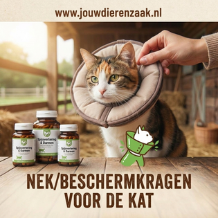 Nek/Beschermkragen voor de kat