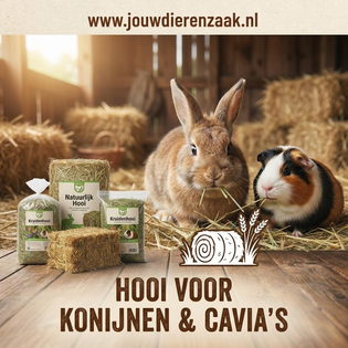 Hooi voor konijnen en cavia's