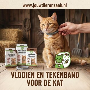 vlooienband voor de kat