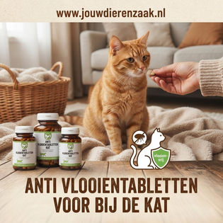 vlooien tabletten voor de kat