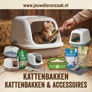 Kattenbakken