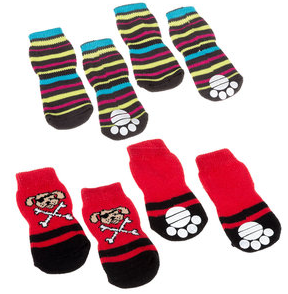 Pootbescherming voor de Hond