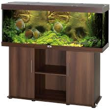 Aquaria / Aquariums