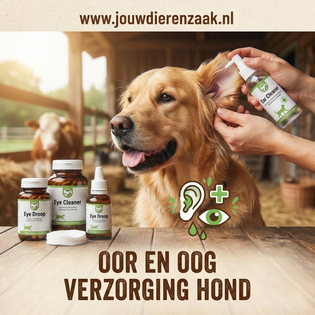 Oor en Oog verzorging van de Hond