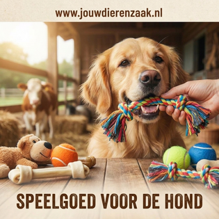 speelgoed voor de hond