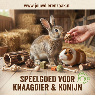 Speelgoed voor knaagdier & konijn