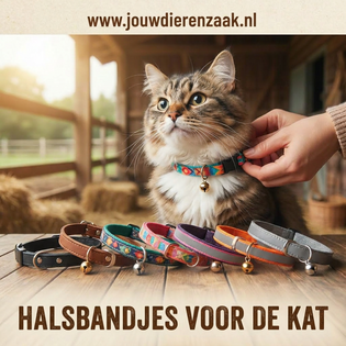 Halsbandjes voor de kat