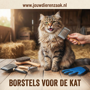Borstels voor de kat