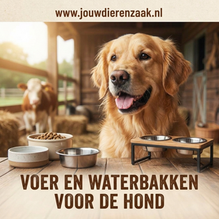 Voer en Waterbakken voor de hond