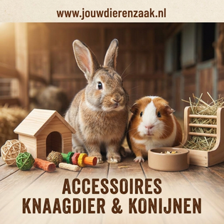 Accessoires Knaagdier en Konijnen