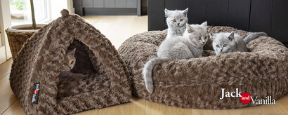 Kattenmandjes en ligkussens