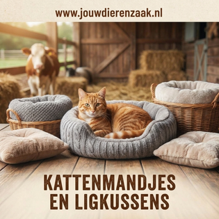 Kattenmandjes en ligkussens