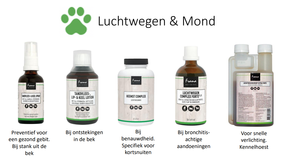 Luchtwegen en Mond supplement voor de kat