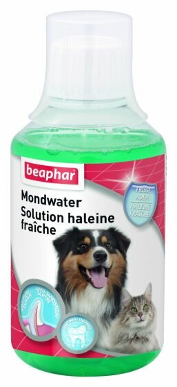 Beaphar Mondwater 250 ML