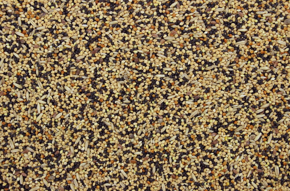 Pets &amp; Co Volierezaad 20 kg