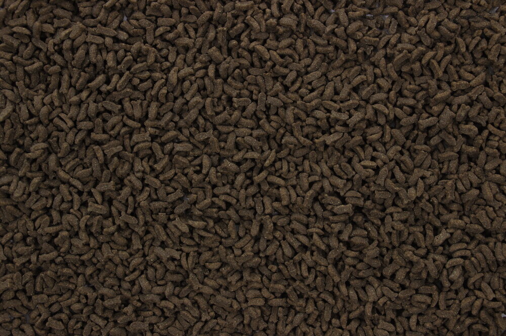 Natural Health Cat Carnivore Fish&amp;Beans 7,5 kg