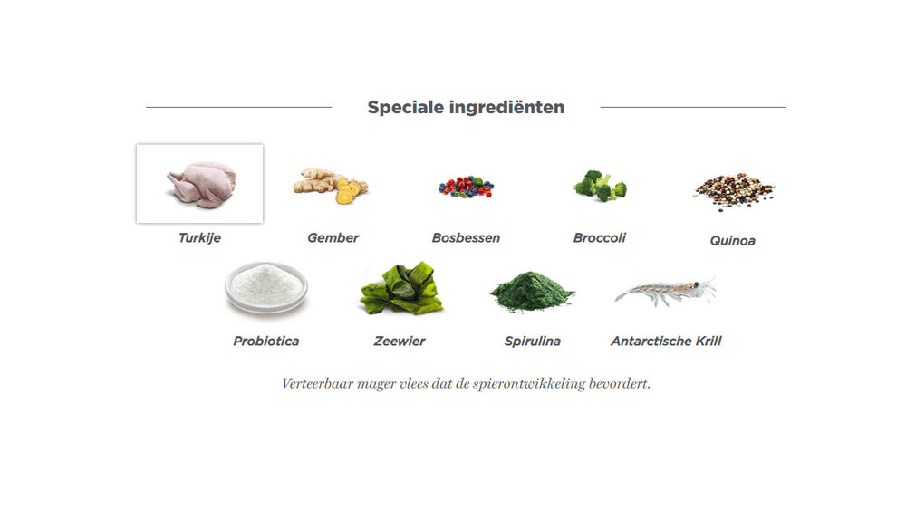 Amanova Adult Obesity Turkey Delight 10 kg Graanvrij