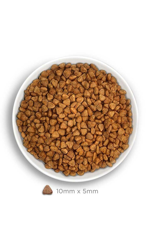 Amanova Sterilised Cat Delicious Lamb 4 kg Graanvrij