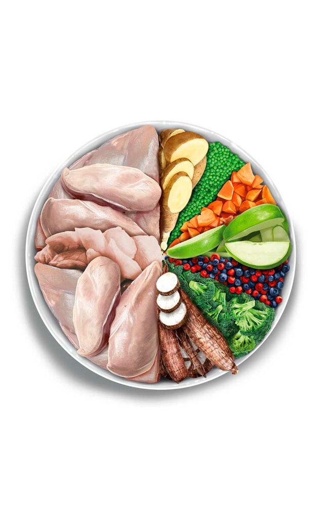 Amanova Adult Turkey Delight 6 kg Graanvrij