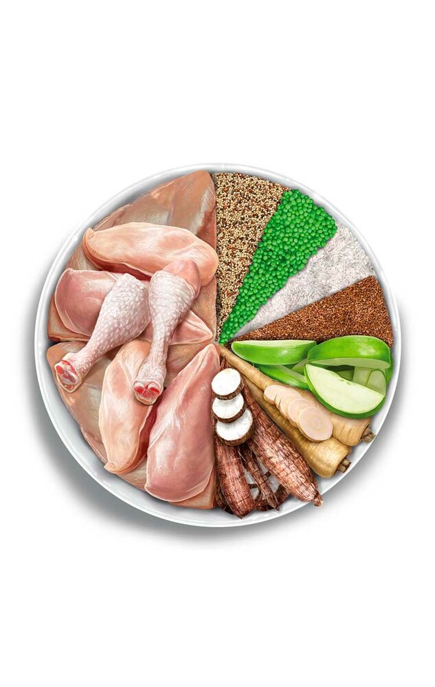 Amanova Adult Exquisite Chicken 6 kg