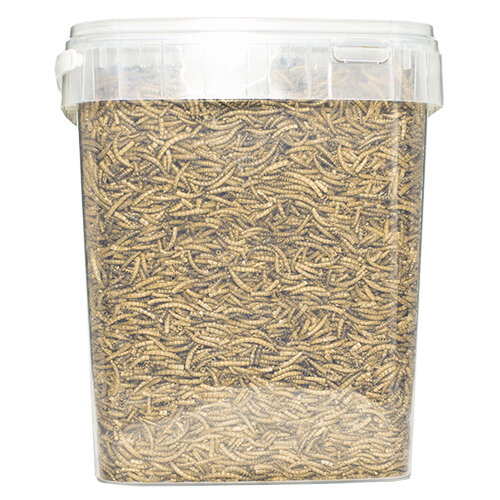 Pets en Co Meelwormen 10 Liter
