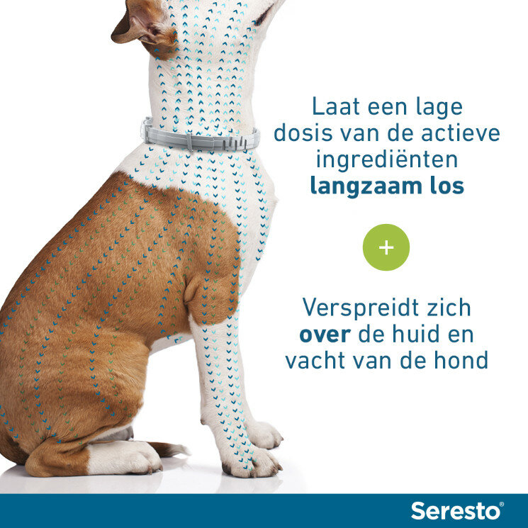 Seresto halsband 70cm voor hond vanaf 8kg tegen vlooien, teken, luizen 
