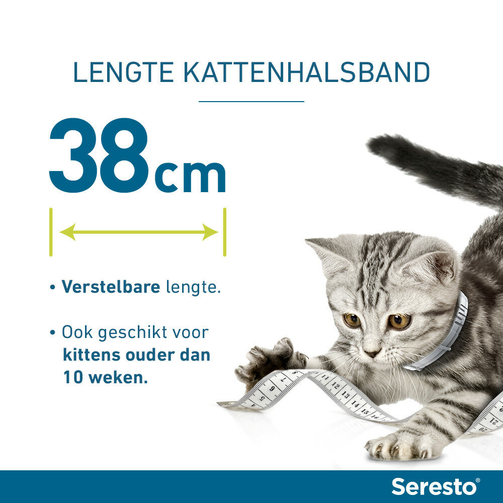 Seresto halsband 38 cm voor kat tegen vlooien, teken, luizen 