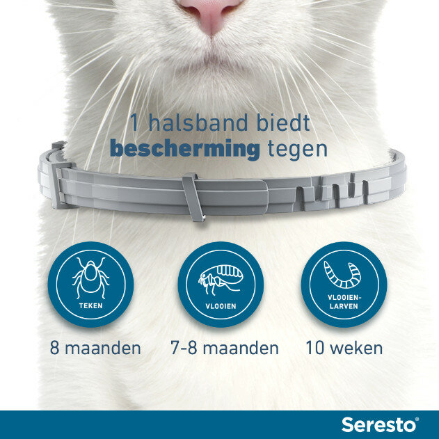 Seresto halsband 38 cm voor kat tegen vlooien, teken, luizen 