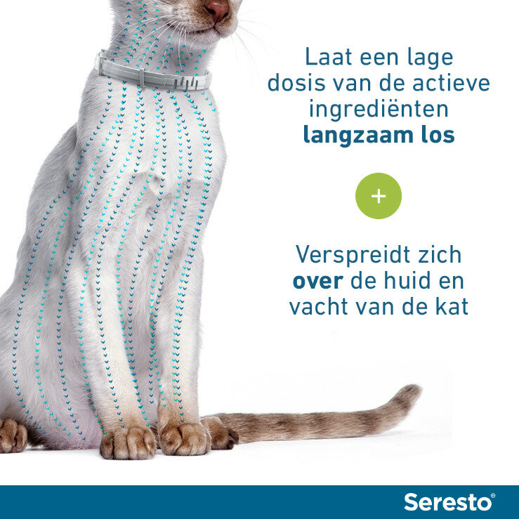 Seresto halsband 38 cm voor kat tegen vlooien, teken, luizen 