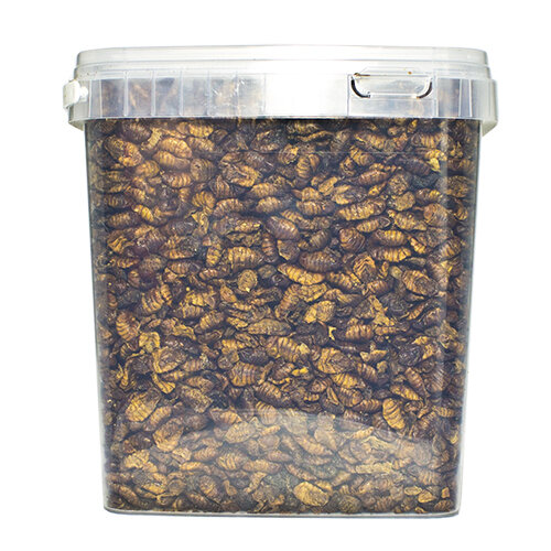 Pets en Co Zijdenrupsen 5 Liter