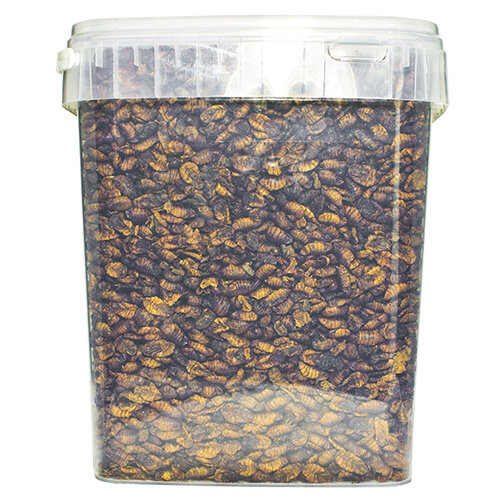 Pets en Co Zijdenrupsen 10 Liter