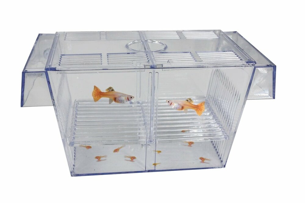 SuperFish Floating Breeding Box Opkweekbak