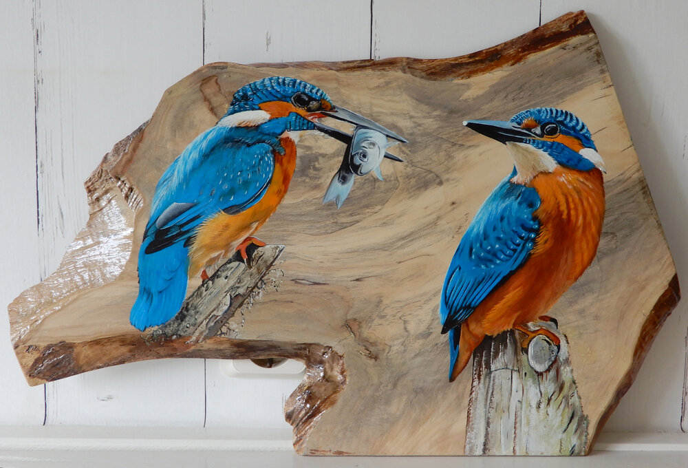 Schilderij ijsvogels op hout 53 x 35 cm.