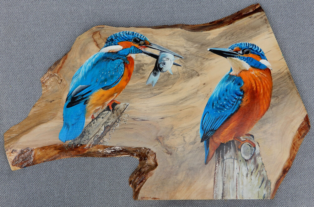 Schilderij ijsvogels op hout 53 x 35 cm.